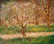 Arbres printaniers - huile s/toile - 46x38 - 300 �